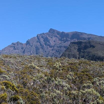Voyage à L'Ile De La Réunion De Patricia Voyage à l'Ile de la Réunion de Patricia B.