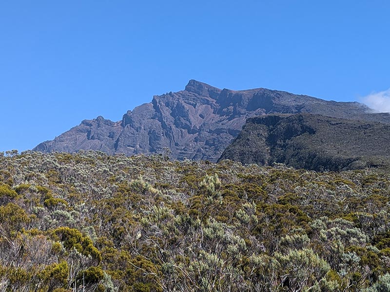 Voyage à l'Ile de la Réunion de Patricia Voyage à l'Ile de la Réunion de Patricia B.
