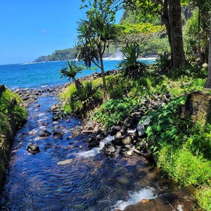 Voyage à L'Ile De La Réunion De Jean-Luc Voyage à L'Ile de la Réunion de Jean-Luc M.