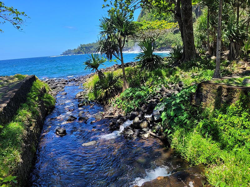 Voyage à L'Ile de la Réunion de Jean-Luc Voyage à L'Ile de la Réunion de Jean-Luc M.