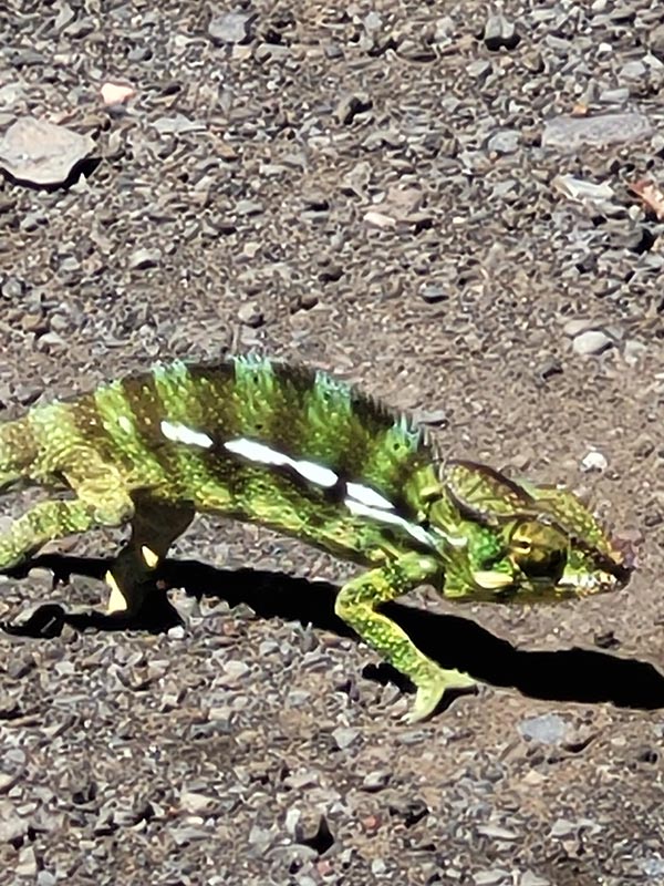 Voyage à L'Ile de la Réunion de Jean-Luc Voyage à L'Ile de la Réunion de Jean-Luc M.