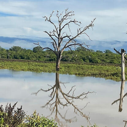 Voyage Au Sri Lanka De Jean Voyage au Sri Lanka de Jean L.