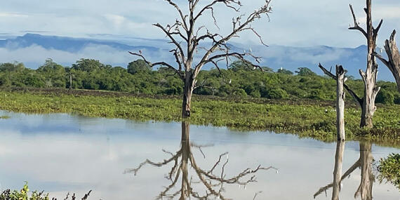 Voyage au Sri Lanka de Jean L.