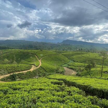 Voyage Au Sri Lanka De Jean Voyage au Sri Lanka de Jean L.