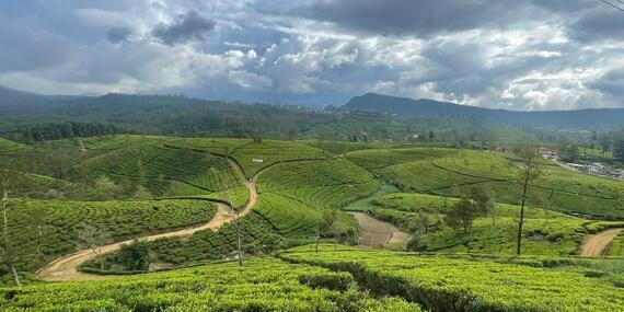 Voyage au Sri Lanka de Jean L.