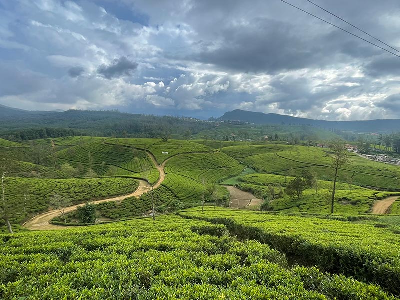 Voyage au Sri Lanka de Jean Voyage au Sri Lanka de Jean L.