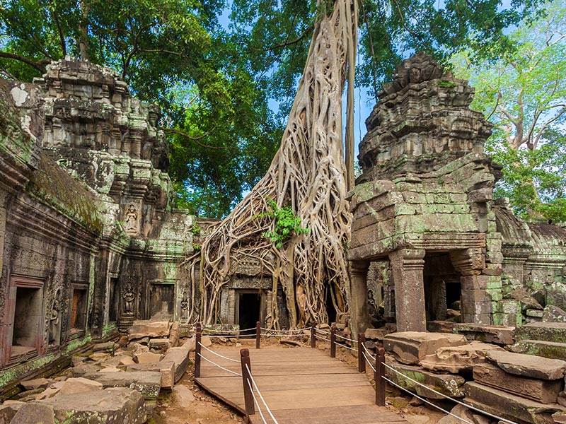 Angkor - Ta Prohm Voyage au Cambodge d'Agnès T.