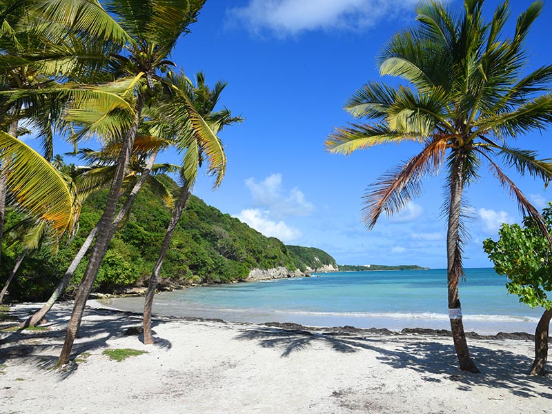 Plage de Guadeloupe Voyage à la Guadeloupe de Christine B.