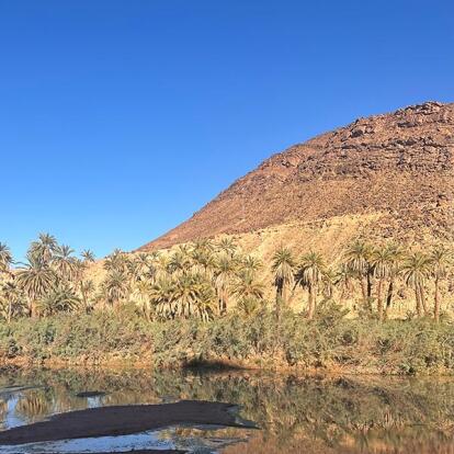 Jour de l'An dans le Désert de Véronique et Stéphane