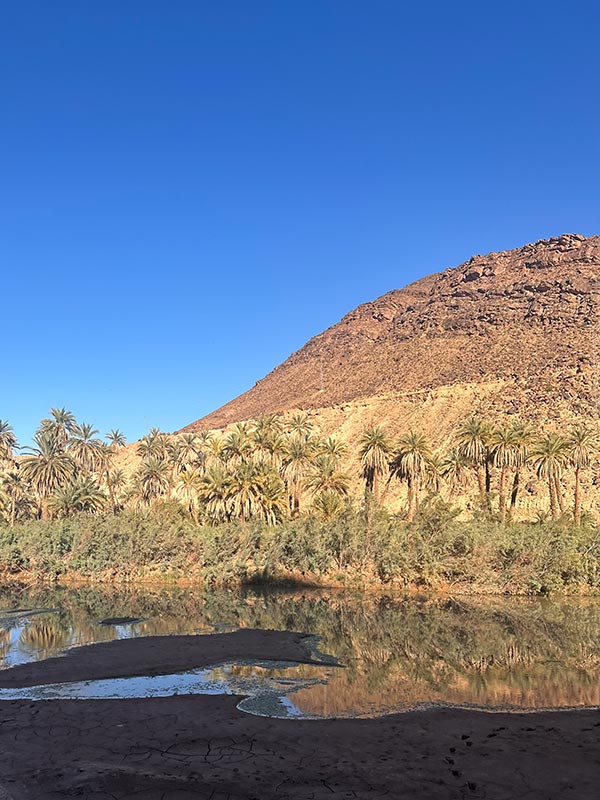 Jour de l'An dans le Désert de Véronique et Stéphane