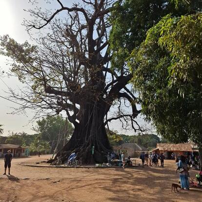 Voyage au Sénégal de Géraldine R.