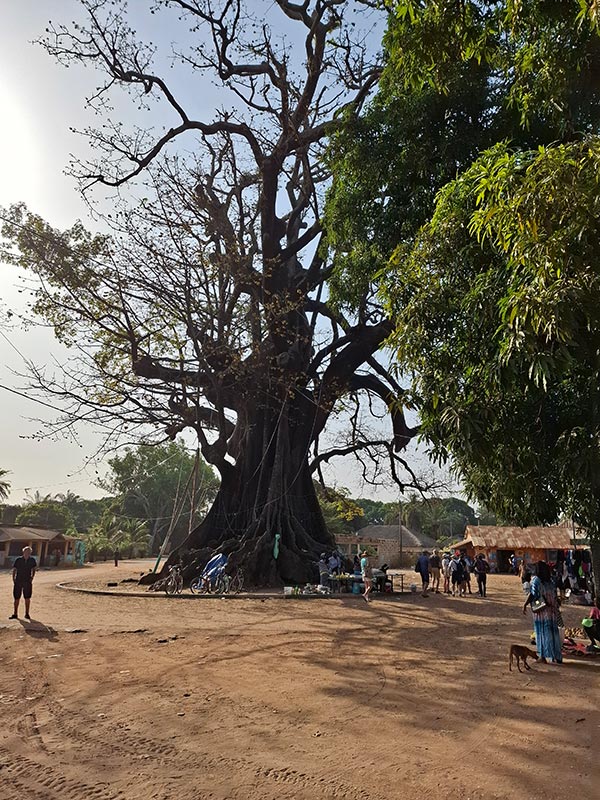 Voyage au Sénégal de Géraldine R.