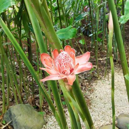 Voyage à la Guadeloupe de Martine M.