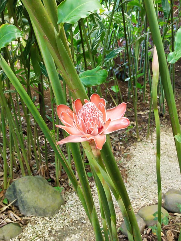 Voyage à la Guadeloupe de Martine M.