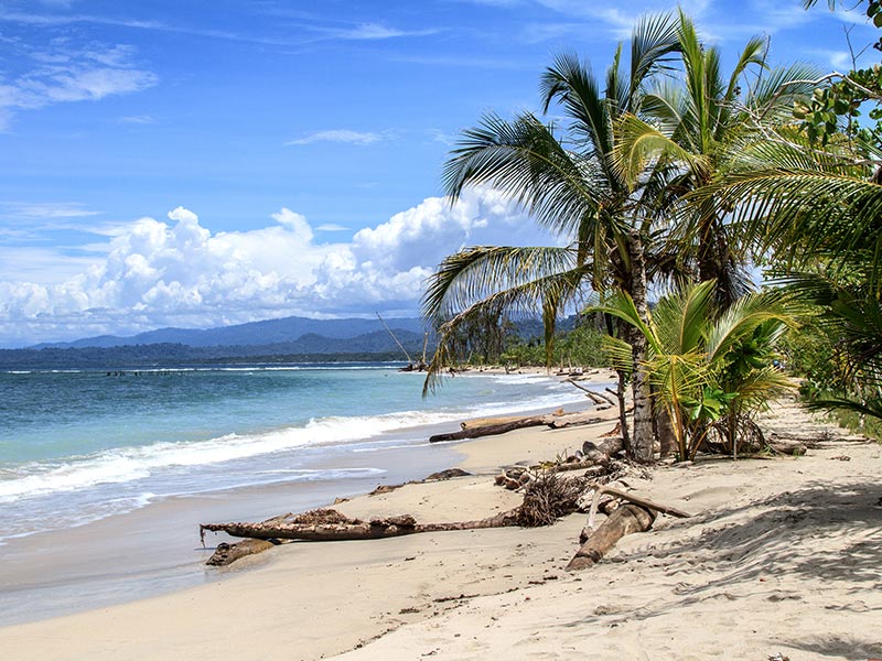Voyage au Costa Rica de Christophe C.