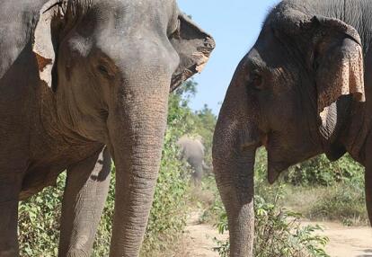 Voyage au Cambodge de Jean-Philippe R.
