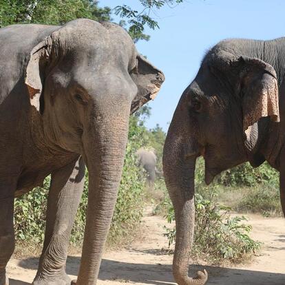 Voyage au Cambodge de Jean-Philippe R.