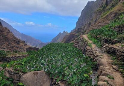 Voyage au Cap Vert d'Annie et Samuel