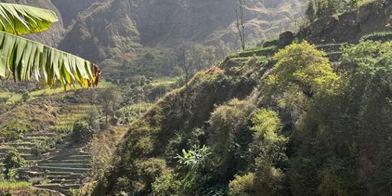 Voyage au Cap Vert d'Anne-Marie L.