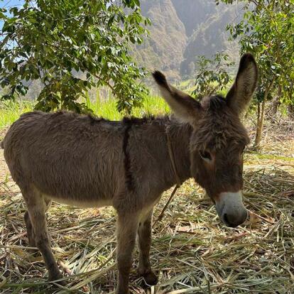 Voyage au Cap Vert d'Anne-Marie L.