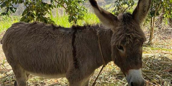 Voyage au Cap Vert d'Anne-Marie L.