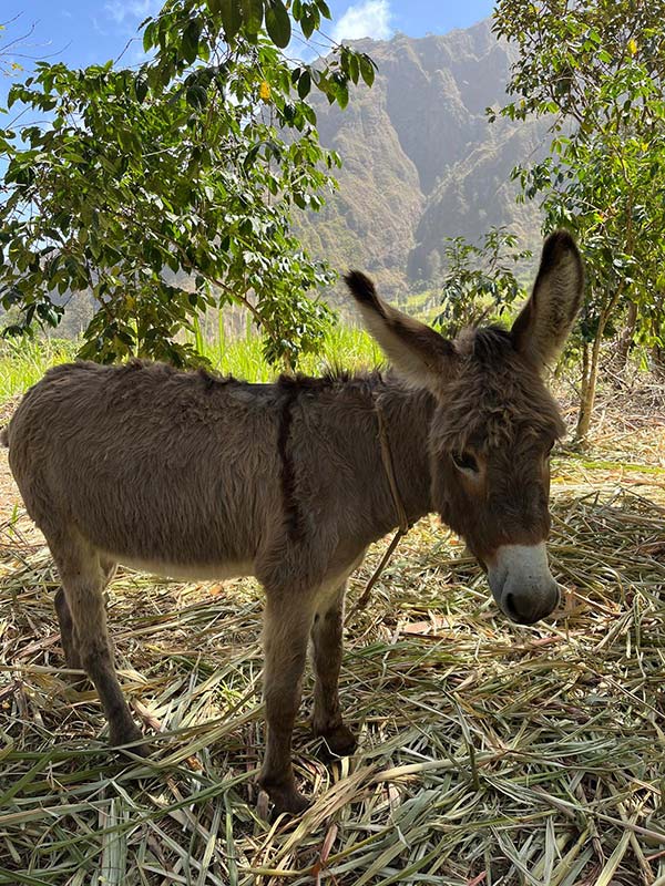 Voyage au Cap Vert d'Anne-Marie L.