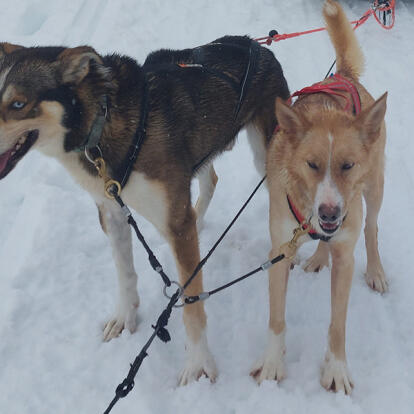 Voyage en Finlande de Chantal G.