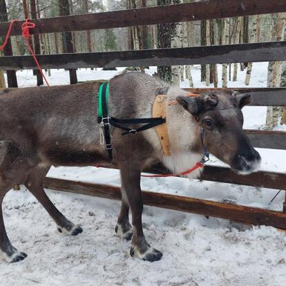 Voyage en Finlande de Chantal G.