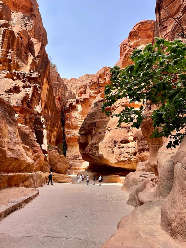 Voyage en Jordanie de Fanny L.