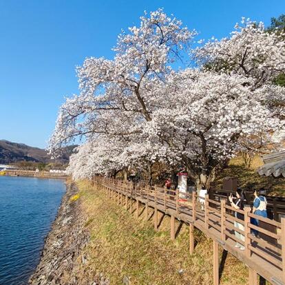 Voyage en Corée du Sud d'Alexandre C.