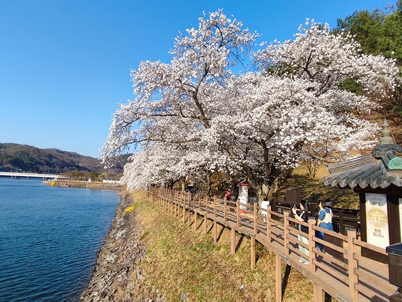 Voyage en Corée du Sud d'Alexandre C.