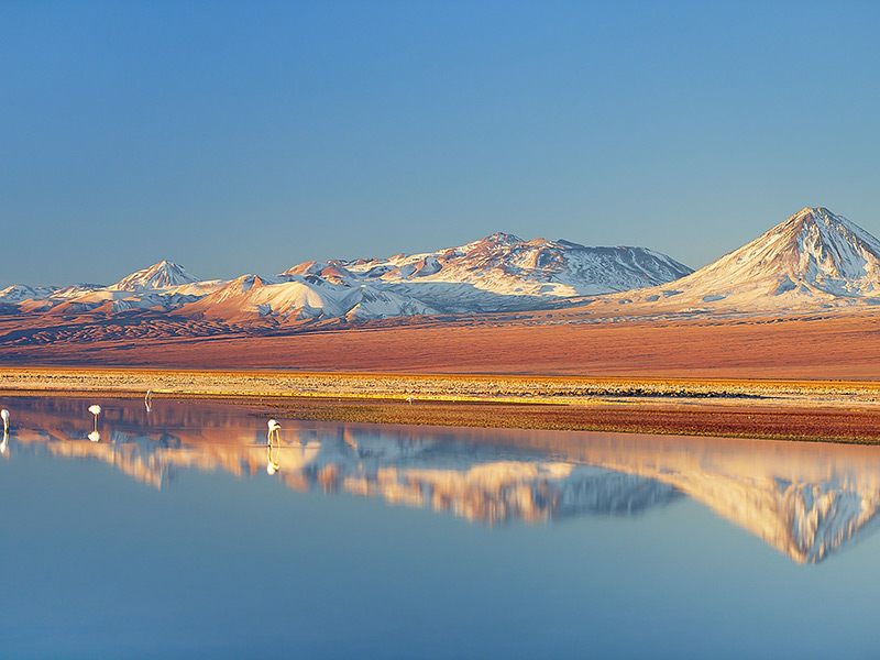 Voyage au Chili et Bolivie de Virginie C.