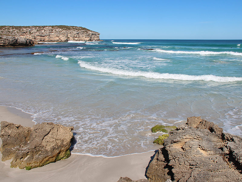 Voyage en Australie de Sylvie R.