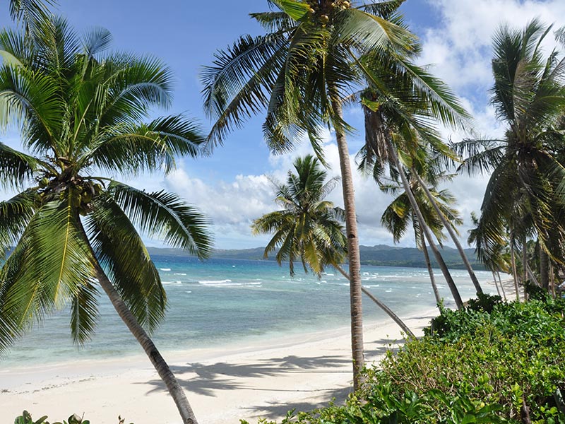 Voyages aux Philippines de Patrice LV.