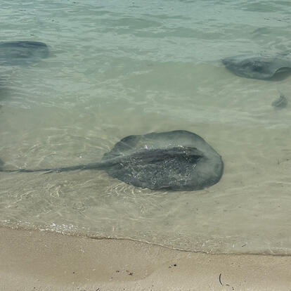 Voyage au Belize de Stéphanie L.