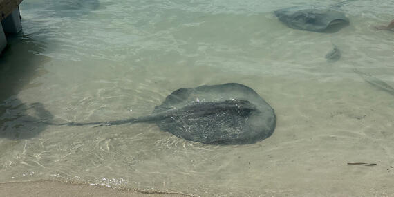 Voyage au Belize de Stéphanie L.