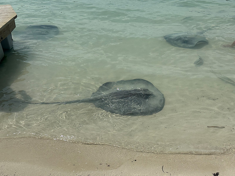 Voyage au Belize de Stéphanie L.