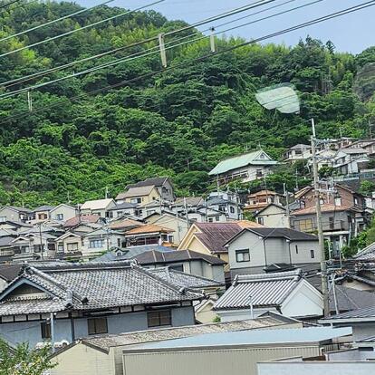 Voyage au Japon de Pascale M.