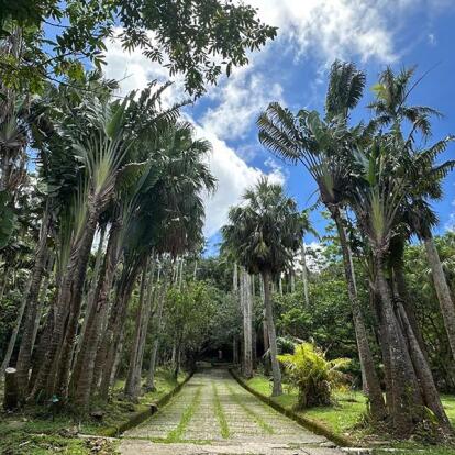 Voyage à Taiwan de Dominique R.