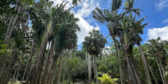 Voyage à Taiwan de Dominique R.