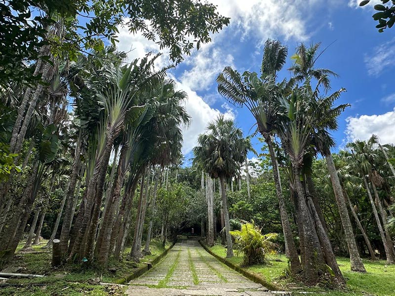 Voyage à Taiwan de Dominique R.