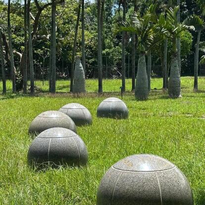 Voyage à Taiwan de Dominique R.