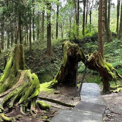 Voyage à Taiwan de Dominique R.