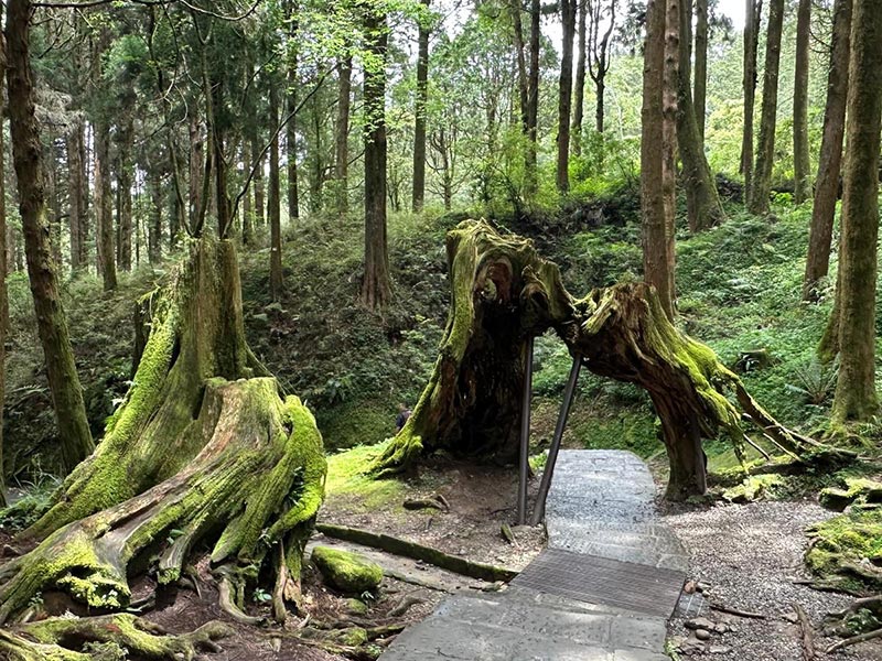 Voyage à Taiwan de Dominique R.