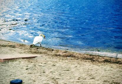 Voyage en Norvège de Nadine R.