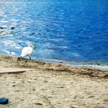 Voyage en Norvège de Nadine R.