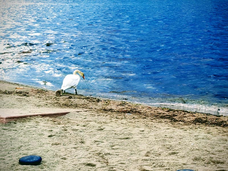 Voyage en Norvège de Nadine R.