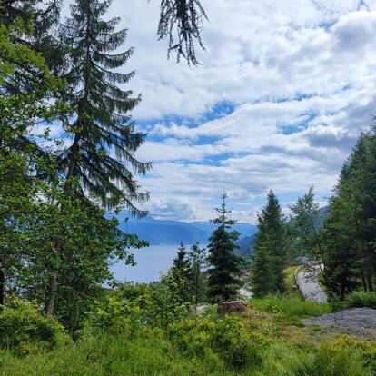 Voyage en Norvège de Nadine R.