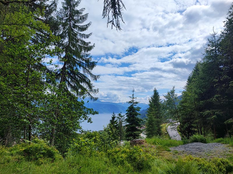 Voyage en Norvège de Nadine R.