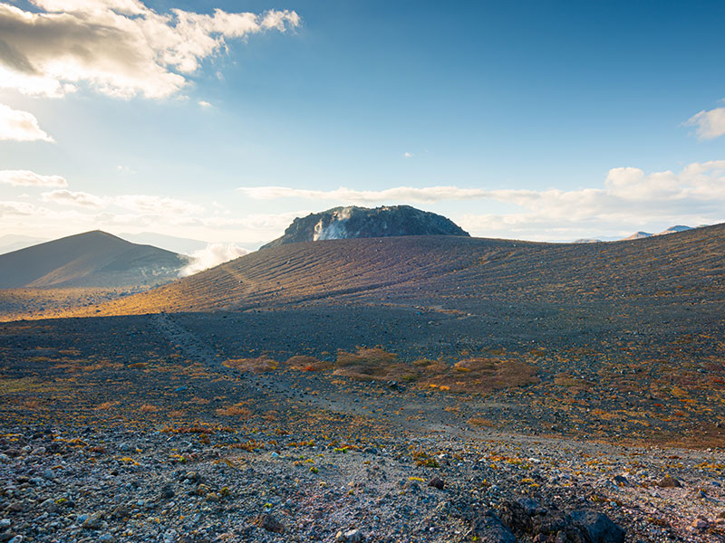 Voyage de Garance C. au Japon